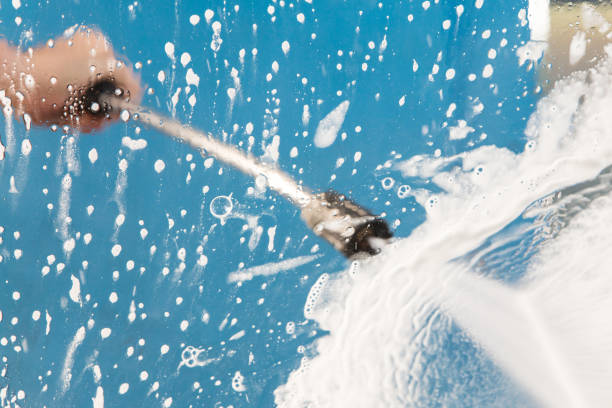 Animal Enclosure Cleaning in Fairwood, WA